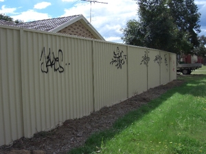 Another fence BEFORE pressure cleaning