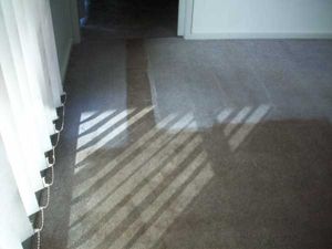 In the middle of carpet cleaning