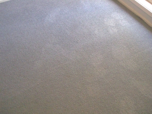 Carpet stains removed
